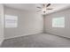 Bright bedroom featuring neutral walls, plush carpet, a ceiling fan, and natural light from two windows at 10257 Sequoia Falls Pl, Las Vegas, NV 89149