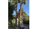 Backyard with decorative palm trees and green space at 2989 Bel Air Dr, Las Vegas, NV 89109