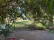 Backyard with green space and decorative trees at 2989 Bel Air Dr, Las Vegas, NV 89109