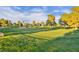 Beautiful golf course with lush green grass, mature trees, and a tranquil pond at 2989 Bel Air Dr, Las Vegas, NV 89109