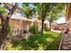 Spacious backyard featuring mature trees and grass at 3408 Livia Ave, North Las Vegas, NV 89031