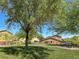 Green community park offering picnic tables, shade trees, and open space for recreational activities at 3638 Via Messina, Henderson, NV 89052