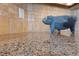 Close-up of granite countertop with decorative stone pig at 3955 W Jo Rae Ave, Las Vegas, NV 89141