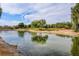 Scenic pond reflecting trees and blue sky at Stallion Mountain Golf Club at 4037 Vulcan St, Las Vegas, NV 89122