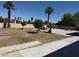 Spacious backyard with some trees offering potential for outdoor living and activities at 5170 S Pearl St, Las Vegas, NV 89120