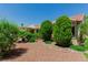 Lush backyard with well-maintained shrubs and desert landscaping at 8921 Signal Terrace Dr, Las Vegas, NV 89134