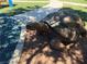 Community playground featuring a unique turtle statue, adding a playful touch to the outdoor space at 9748 Derbyhill Cir, Las Vegas, NV 89117