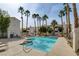 Beautiful community pool surrounded by lush palm trees and clear blue skies at 1501 Oscar Ct # 101, Las Vegas, NV 89146