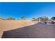 Expansive backyard featuring decorative rock, palm trees, privacy wall and golf practice net at 4260 Helena Cove Ct, Las Vegas, NV 89129