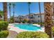Inviting community pool area surrounded by palm trees, lounge chairs, and desert landscaping at 4830 Grey Wolf Ln # 104, Las Vegas, NV 89149