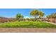 Beautiful community park and green space featuring mature trees, walking path, benches and picnic tables at 5429 Blinding Lights St, North Las Vegas, NV 89081