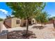 Spacious backyard featuring low-maintenance desert landscaping and mature trees at 6617 Johnny Love Ln, North Las Vegas, NV 89086