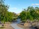 Serene walkway through lush landscaping, showcasing the natural beauty of the community at 888 Cherry Glen Pl, Las Vegas, NV 89138