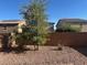 A low maintenance backyard features decorative rocks, minimal plants, and a privacy wall at , Las Vegas, NV 89148
