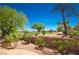 Back yard with golf course views and xeriscaping at 10573 Bambola Pl, Las Vegas, NV 89135