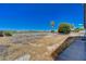 Spacious backyard featuring mature trees, a low fence, and natural desert landscaping at 1420 Logandale Dr, Logandale, NV 89021