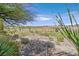 Beautiful golf course view with desert plants and landscape visible from the backyard at 2110 Fort Sanders St, Henderson, NV 89052