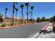 Gated community entrance with palm trees, lush landscaping, and well-maintained street at 1506 Camino Summit Ave, Henderson, NV 89012