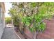 Narrow side yard features desert landscaping, brick wall, and access to courtyard at 1506 Camino Summit Ave, Henderson, NV 89012
