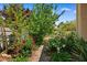 Beautiful landscaping surrounds the home, including red roses and climbing greenery on a trellis at 3010 Hammerwood Dr, Las Vegas, NV 89135
