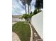 Well-maintained backyard with mature tree, small lawn, planter border, and concrete block wall at 3729 Bronco Billy Ct, Las Vegas, NV 89129