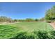 Expansive green space ideal for outdoor activities, relaxation, and community events within the neighborhood at 5852 Brown Tree Ln, North Las Vegas, NV 89081