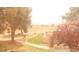 A view of the property with a walkway, trees, and landscaping at 721 Bourbon St # F2, Pahrump, NV 89048