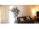 Comfortable living room with soft lighting, a comfortable couch, and a decorative tree for a cozy feel at 721 Bourbon St # F2, Pahrump, NV 89048