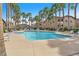 Well-maintained community pool surrounded by palm trees and lounge chairs at 8985 S Durango Dr # 1110, Las Vegas, NV 89113