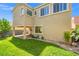 Spacious backyard featuring lush lawn, a covered patio, and mature landscaping at 9654 Ponderosa Skye Ct, Las Vegas, NV 89166