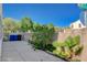 Backyard with paved patio, lush greenery, and a privacy wall, offering a serene outdoor escape at 9931 Cherry Melee Ave, Las Vegas, NV 89148