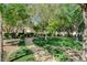 Serene community park featuring lush green grass, mature trees, and a meandering walking path at 9931 Cherry Melee Ave, Las Vegas, NV 89148