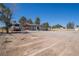 Backyard of home featuring desert landscape, carport, parked vehicles, trees, and white siding at 1050 Bruce St, Pahrump, NV 89048