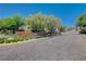 Community entrance sign at Summerlin Hills with lush landscaping and mature trees along brick paved road at 11280 Granite Ridge Dr # 1035, Las Vegas, NV 89135