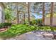 A lush backyard features mature trees, green grass, and a glimpse of a backyard storage shed at 1931 Pago Ct, Las Vegas, NV 89117