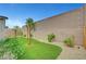 Private backyard oasis featuring artificial turf, mature landscaping, and a tall block wall for added seclusion at 2238 Thelen Ave, North Las Vegas, NV 89086