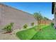 Landscaped backyard featuring artificial grass, plants, and a privacy wall at 2238 Thelen Ave, North Las Vegas, NV 89086