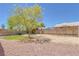 Oversized backyard with mature tree, desert landscaping and secure block wall offers privacy at 4619 Reliant St, North Las Vegas, NV 89031