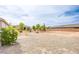 Large backyard featuring desert landscaping, mature trees, and ample space for outdoor activities at 6060 N Conquistador St, Las Vegas, NV 89149