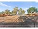 Spacious horse property with a large fenced-in area and plenty of trees for shade at 6920 Bradley Rd, Las Vegas, NV 89131