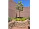 Beautiful corner landscaping with a tree, green plants and brick border at 8275 Old Creek Ranch St, Las Vegas, NV 89139