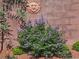 Beautiful landscaping with flowering bushes in a well-maintained yard at 8275 Old Creek Ranch St, Las Vegas, NV 89139