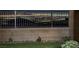Backyard view featuring black fence, landscaping, rock garden, green grass and Las Vegas city lights in distance at 2246 Bird Of Prey St, Las Vegas, NV 89138