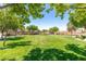 Expansive community park featuring lush green space, mature trees, and landscaped gardens, ideal for outdoor activities and relaxation at 2799 Alnwick Ct, Henderson, NV 89044