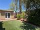 Green backyard with grass, trees, string lights, and a shed at 368 Misty Moonlight St, Henderson, NV 89015