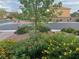 Well-maintained landscaping with vibrant yellow and orange flowers near the street in front of the home at 368 Misty Moonlight St, Henderson, NV 89015