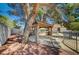 Lush backyard showcasing a covered patio area, mature trees, and ample space for outdoor activities and entertaining at 4030 Del Monte Ave, Las Vegas, NV 89102