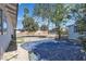 View of the backyard space and some landscaping featuring scattered trees at 417 Freeman Ave, Las Vegas, NV 89106