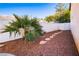 Well-maintained backyard area with desert landscaping, stone path, and privacy fence at 1011 Pearl Marble Ave, North Las Vegas, NV 89081