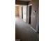 Spacious bedroom with neutral carpet, walk-in closet, and adjacent bathroom access at 1423 Orange Jubilee Rd, Henderson, NV 89014